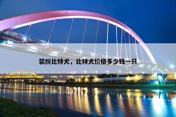 美洲地区