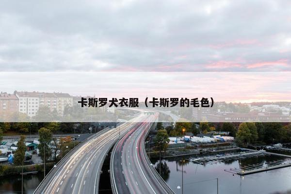 卡斯罗犬衣服（卡斯罗的毛色）