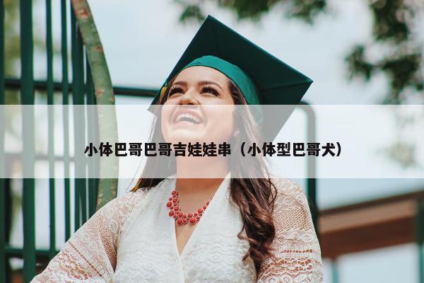 小体巴哥巴哥吉娃娃串（小体型巴哥犬）