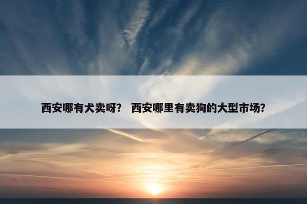 西安哪有犬卖呀？ 西安哪里有卖狗的大型市场？