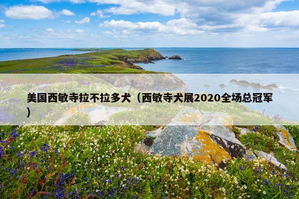 美国西敏寺拉不拉多犬（西敏寺犬展2020全场总冠军）