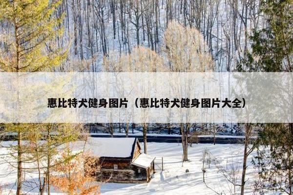 温蒂