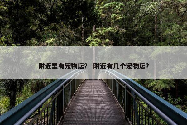 附近里有宠物店？ 附近有几个宠物店？