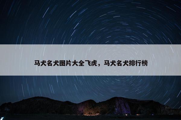 马犬名犬图片大全飞虎，马犬名犬排行榜