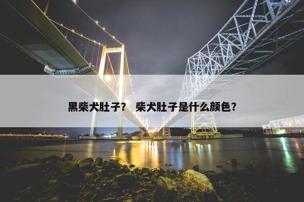 黑柴犬肚子？ 柴犬肚子是什么颜色？