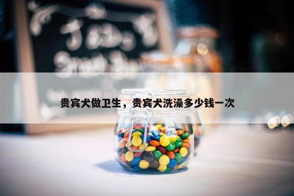 贵宾犬做卫生，贵宾犬洗澡多少钱一次