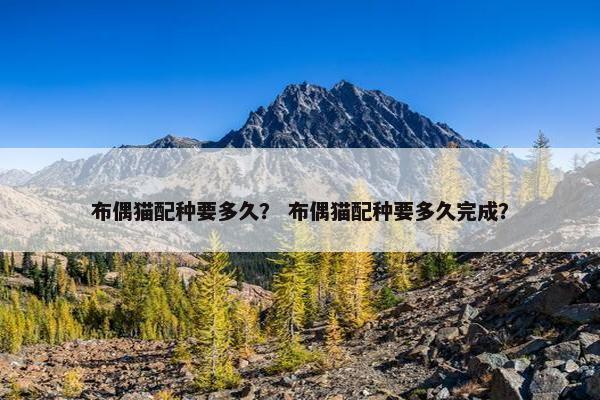 布偶猫配种要多久？ 布偶猫配种要多久完成？