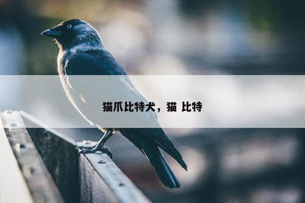 灵活性