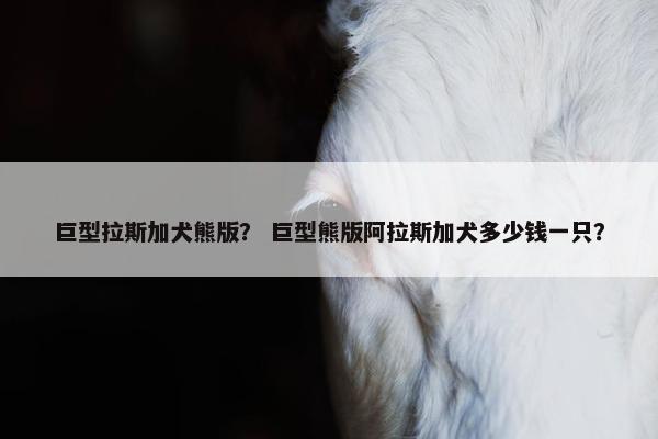 巨型拉斯加犬熊版？ 巨型熊版阿拉斯加犬多少钱一只？