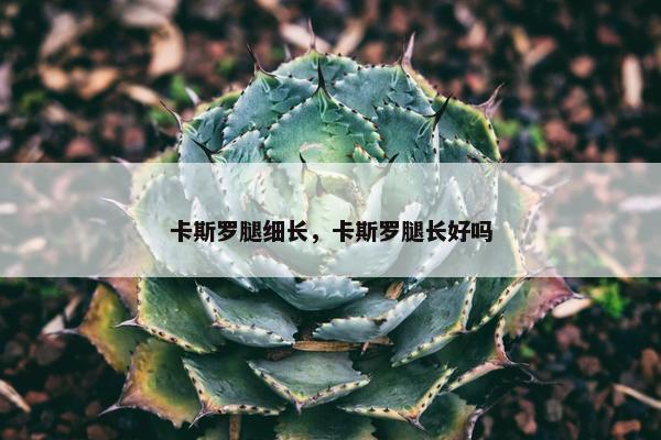 卡斯罗腿细长，卡斯罗腿长好吗