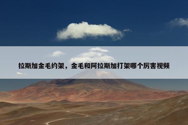 拉斯加金毛约架，金毛和阿拉斯加打架哪个厉害视频