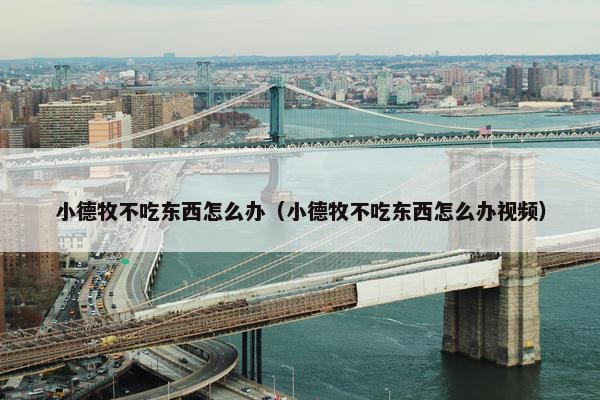 小德牧不吃东西怎么办（小德牧不吃东西怎么办视频）