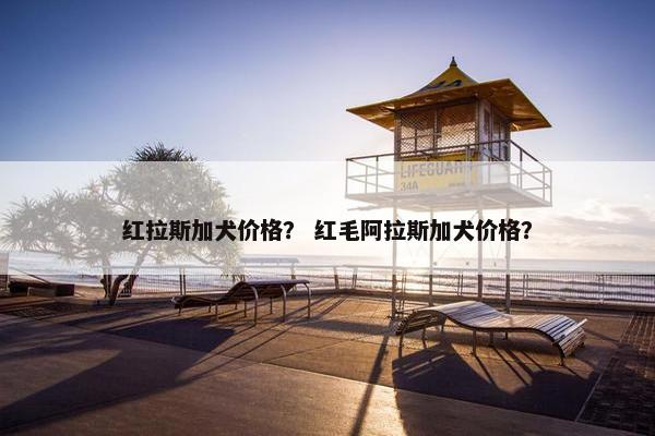 红拉斯加犬价格？ 红毛阿拉斯加犬价格？
