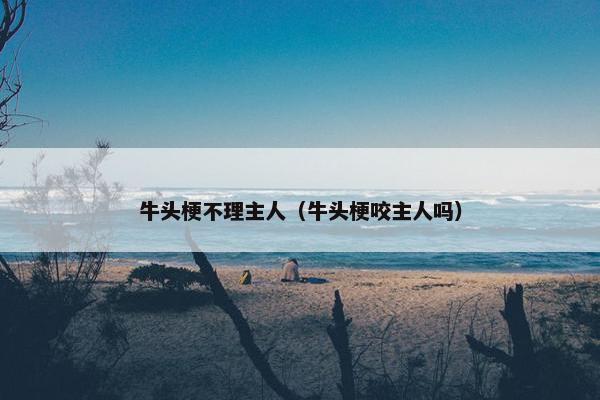 牛头梗不理主人（牛头梗咬主人吗）