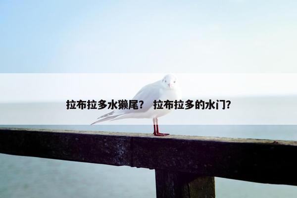 拉布拉多水獭尾？ 拉布拉多的水门？