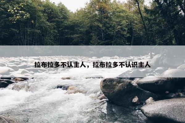 拉布拉多不认主人，拉布拉多不认识主人