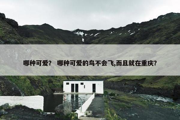 哪种可爱？ 哪种可爱的鸟不会飞,而且就在重庆？