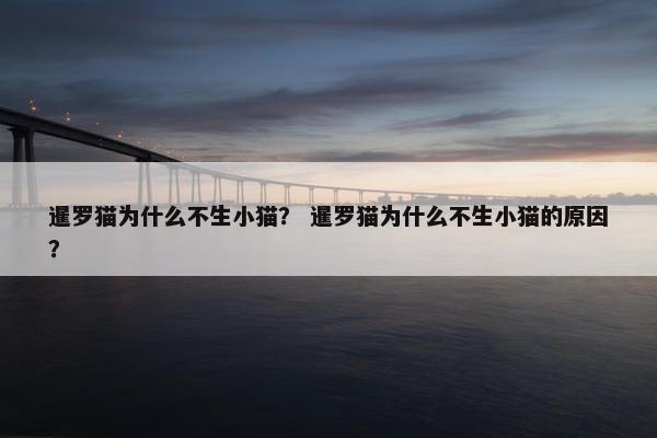 暹罗猫为什么不生小猫？ 暹罗猫为什么不生小猫的原因？