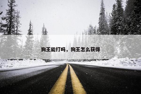 狗王能打吗，狗王怎么获得