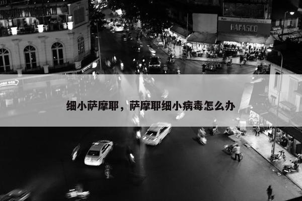 细小萨摩耶，萨摩耶细小病毒怎么办