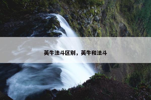 英牛法斗区别，英牛和法斗