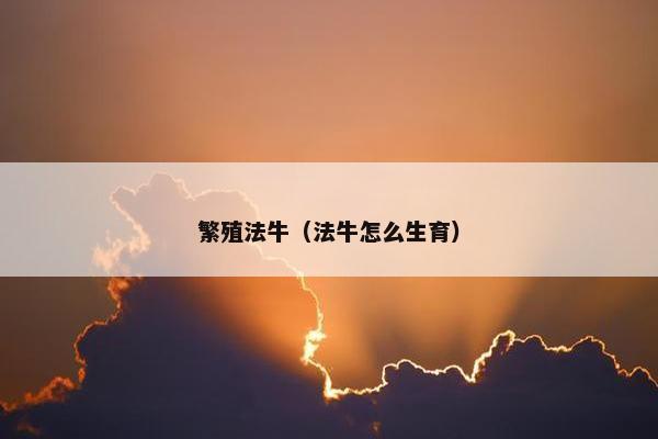 繁殖法牛（法牛怎么生育）