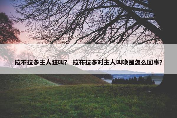 拉不拉多主人狂叫？ 拉布拉多对主人叫唤是怎么回事？