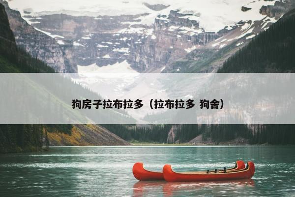 狗房子拉布拉多（拉布拉多 狗舍）