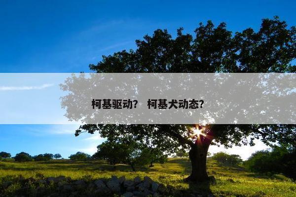 柯基驱动？ 柯基犬动态？