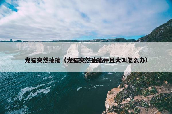 龙猫突然抽搐（龙猫突然抽搐并且大叫怎么办）
