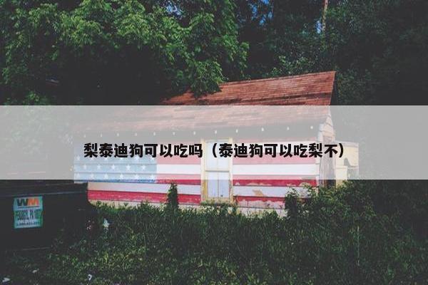 梨泰迪狗可以吃吗（泰迪狗可以吃梨不）