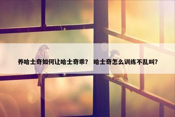 养哈士奇如何让哈士奇乖？ 哈士奇怎么训练不乱叫？