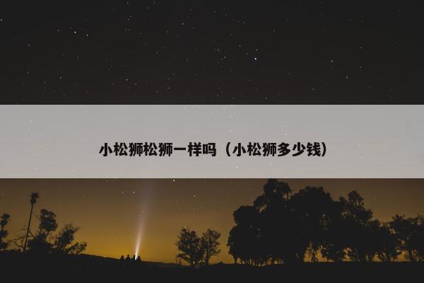 小松狮松狮一样吗（小松狮多少钱）