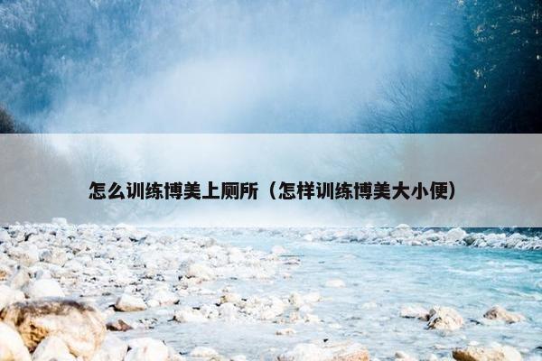 怎么训练博美上厕所（怎样训练博美大小便）