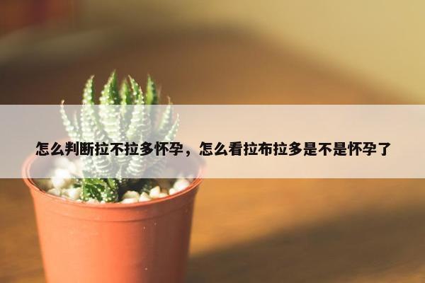 怎么判断拉不拉多怀孕，怎么看拉布拉多是不是怀孕了