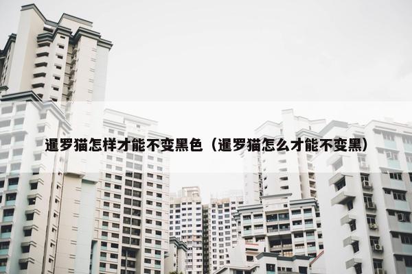 暹罗猫怎样才能不变黑色（暹罗猫怎么才能不变黑）