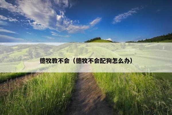 德牧教不会（德牧不会配狗怎么办）