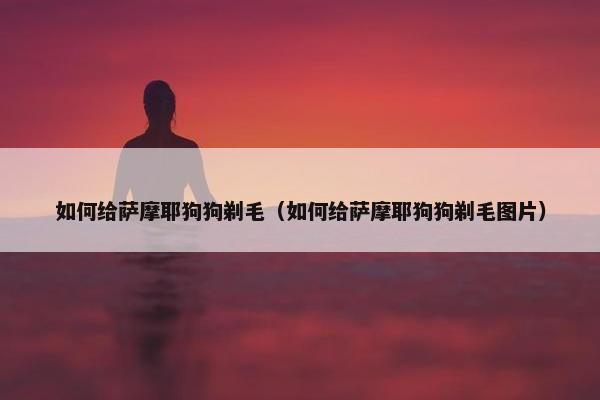 如何给萨摩耶狗狗剃毛（如何给萨摩耶狗狗剃毛图片）