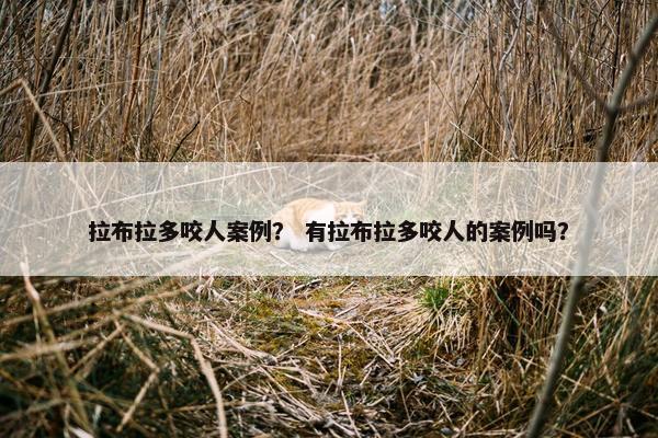 拉布拉多咬人案例？ 有拉布拉多咬人的案例吗？