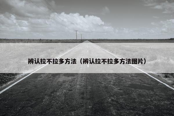 辨认拉不拉多方法（辨认拉不拉多方法图片）
