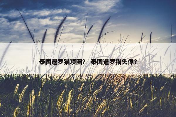 泰国暹罗猫项圈？ 泰国暹罗猫头像？