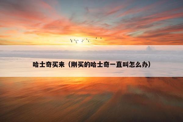 哈士奇买来（刚买的哈士奇一直叫怎么办）