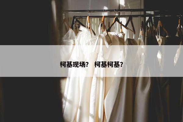 柯基现场？ 柯基柯基？