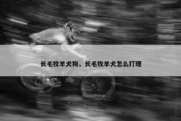 长毛牧羊犬狗，长毛牧羊犬怎么打理