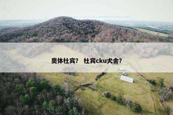 奥体杜宾？ 杜宾cku犬舍？