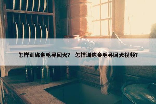 怎样训练金毛寻回犬？ 怎样训练金毛寻回犬视频？