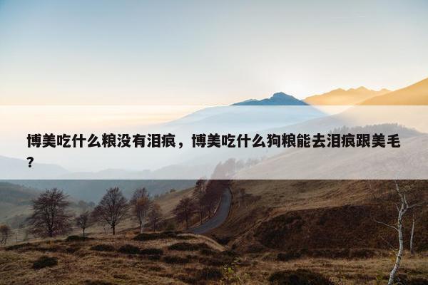 博美吃什么粮没有泪痕，博美吃什么狗粮能去泪痕跟美毛?