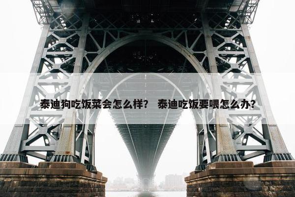 泰迪狗吃饭菜会怎么样？ 泰迪吃饭要喂怎么办？