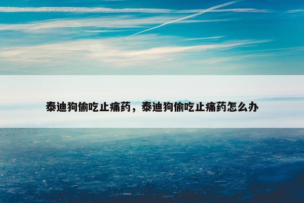 泰迪狗偷吃止痛药，泰迪狗偷吃止痛药怎么办