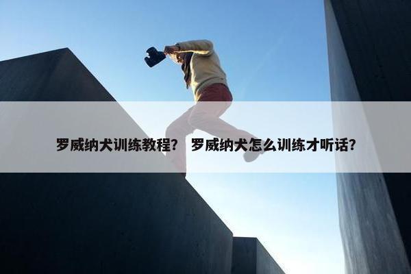 罗威纳犬训练教程？ 罗威纳犬怎么训练才听话？